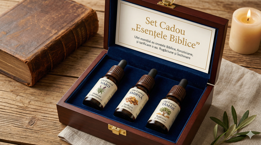 Set Cadou „Esențele Biblice”